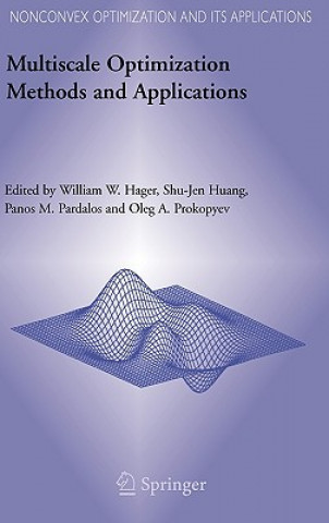 Kniha Multiscale Optimization Methods and Applications William W. Hager