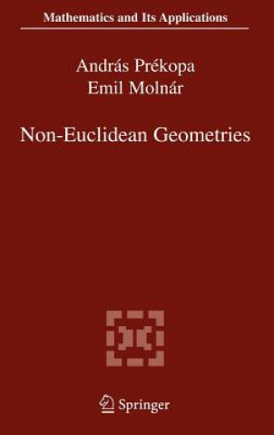 Livre Non-Euclidean Geometries András Prékopa