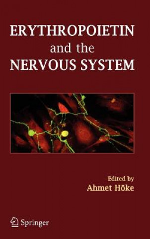 Kniha Erythropoietin and the Nervous System Ahmet Hoke