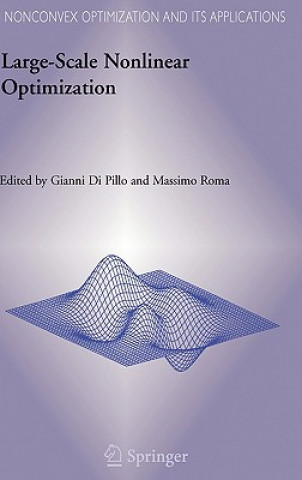 Carte Large-Scale Nonlinear Optimization Gianni Di Pillo