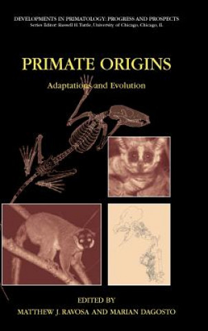 Książka Primate Origins: Adaptations and Evolution Matthew J. Ravosa