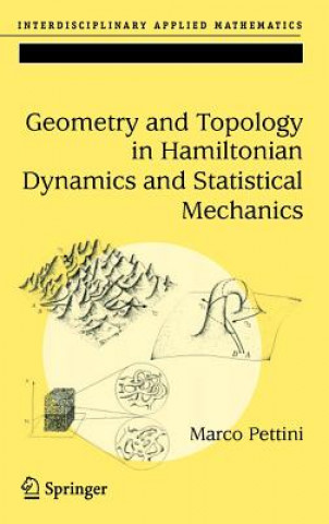 Knjiga Geometry and Topology in Hamiltonian Dynamics and Statistical Mechanics Marco Pettini