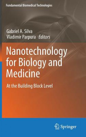 Kniha Nanotechnology for Biology and Medicine Gabriel Silva