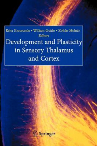 Carte Development and Plasticity in Sensory Thalamus and Cortex R. Erzurumlu