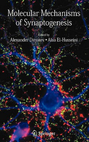 Carte Molecular Mechanisms of Synaptogenesis Alaa El- Husseini