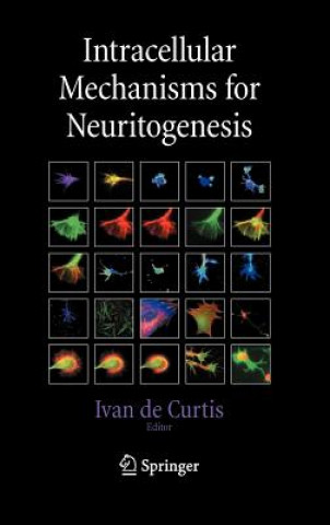 Carte Intracellular Mechanisms for Neuritogenesis Ivan De Curtis