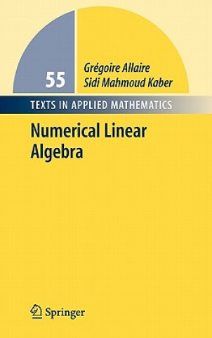Kniha Numerical Linear Algebra Gregoire Allaire