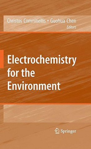 Kniha Electrochemistry for the Environment Christos Comninellis