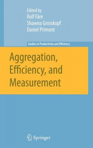 Könyv Aggregation, Efficiency, and Measurement Rolf Färe