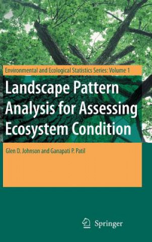 Carte Landscape Pattern Analysis for Assessing Ecosystem Condition G. D. Johnson