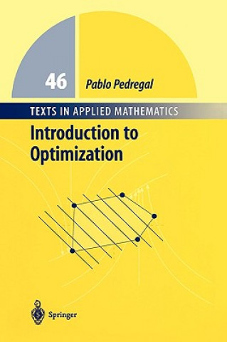 Carte Introduction to Optimization Pablo Pedregal