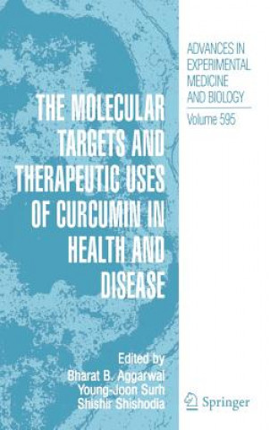 Könyv Molecular Targets and Therapeutic Uses of Curcumin in Health and Disease B. B. Aggarwal