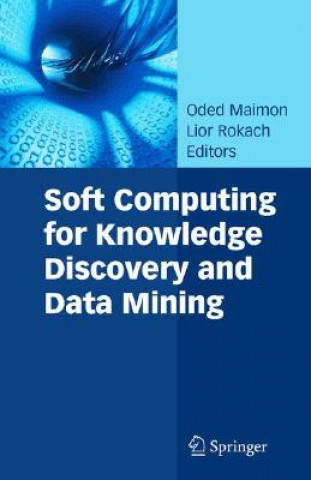 Könyv Soft Computing for Knowledge Discovery and Data Mining Oded Maimon