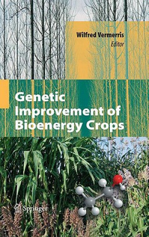 Könyv Genetic Improvement of Bioenergy Crops Wilfred Vermerris