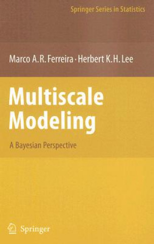 Knjiga Multiscale Modeling Marco A. R. Ferreira