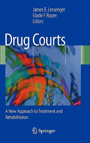 Книга Drug Courts James E. Lessenger