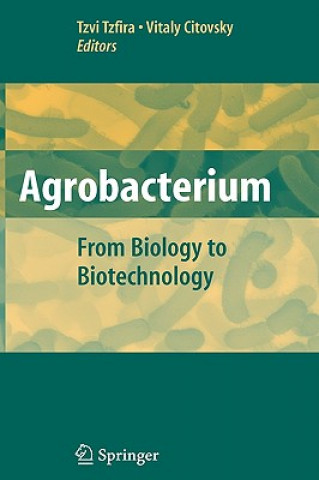 Kniha Agrobacterium: From Biology to Biotechnology Tzvi Tzfira