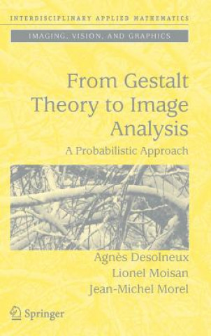Könyv From Gestalt Theory to Image Analysis Agn