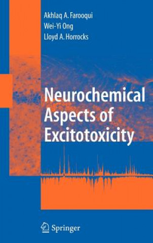 Livre Neurochemical Aspects of Excitotoxicity Akhlaq A. Farooqui