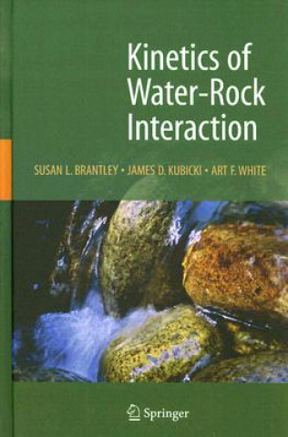 Książka Kinetics of Water-Rock Interaction Susan Brantley