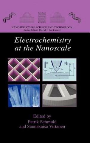 Könyv Electrochemistry at the Nanoscale Patrik Schmuki
