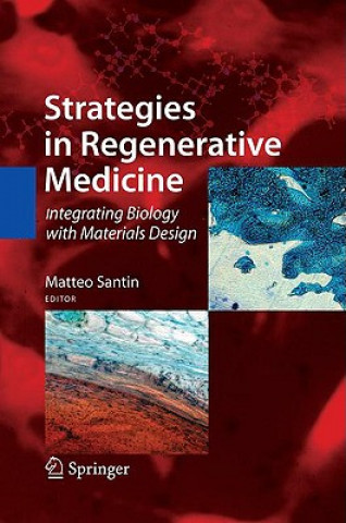 Knjiga Strategies in Regenerative Medicine Matteo Santin