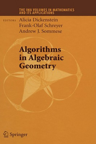 Buch Algorithms in Algebraic Geometry Alicia Dickenstein