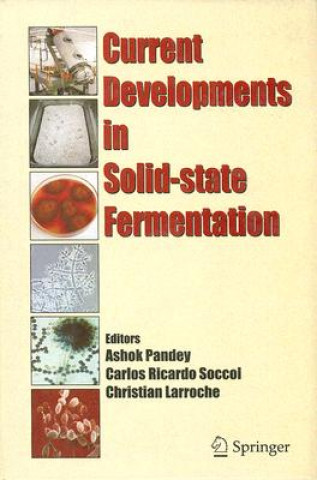 Kniha Current Developments in Solid-state Fermentation Ashok Pandey