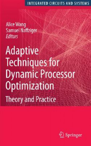 Carte Adaptive Techniques for Dynamic Processor Optimization Alice Wang