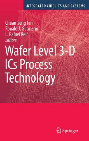 Kniha Wafer Level 3-D ICs Process Technology Chuan Seng Tan