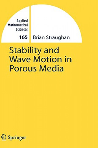 Kniha Stability and Wave Motion in Porous Media Brian Straughan