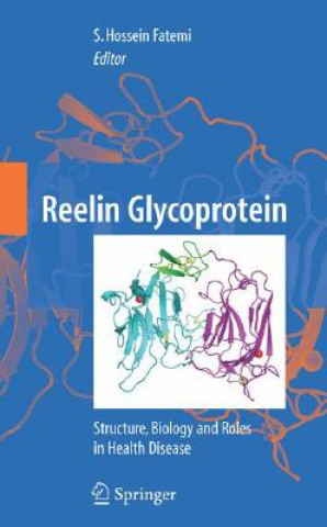 Kniha Reelin Glycoprotein S.H. Fatemi
