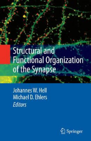 Carte Structural and Functional Organization of the Synapse Johannes W. Hell