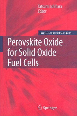 Knjiga Perovskite Oxide for Solid Oxide Fuel Cells Tatsumi Ishihara