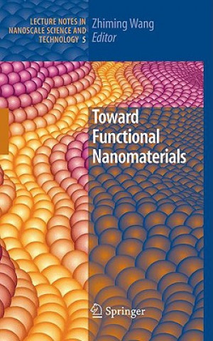 Kniha Toward Functional Nanomaterials Zhiming M. Wang