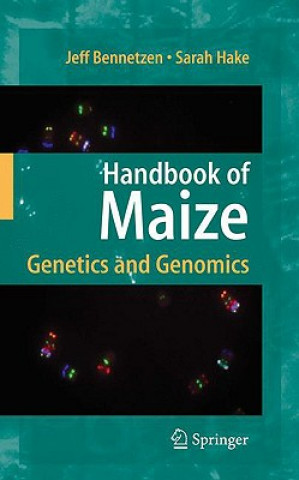 Kniha Handbook of Maize Jeff L. Bennetzen