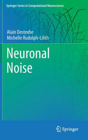 Könyv Neuronal Noise Alain Destexhe