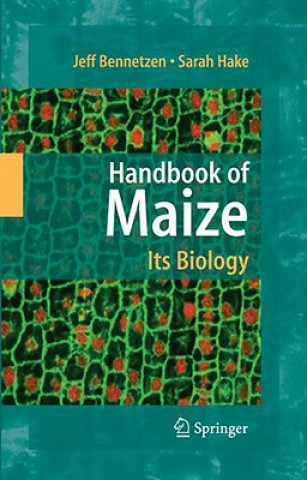 Kniha Handbook of Maize: Its Biology Jeff L. Bennetzen