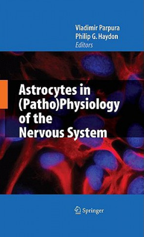 Kniha Astrocytes in (Patho)Physiology of the Nervous System Vladimir Parpura