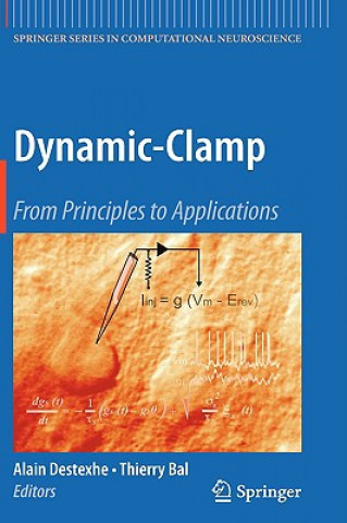 Książka Dynamic-Clamp Alain Destexhe