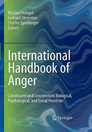 Libro International Handbook of Anger Michael Potegal