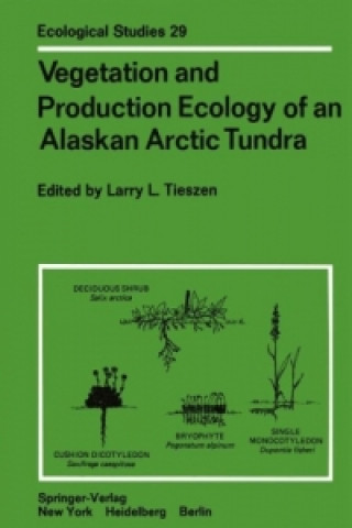 Kniha Vegetation and Production Ecology of an Alaskan Arctic Tundra Larry L. Tieszen