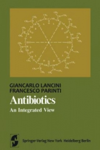 Book Antibiotics Giancarlo Lancini