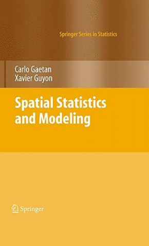 Buch Spatial Statistics and Modeling Carlo Gaetan