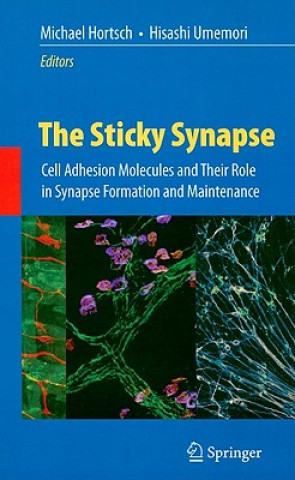 Kniha Sticky Synapse Michael Hortsch