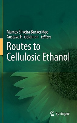 Książka Routes to Cellulosic Ethanol Marcos Silveira Buckeridge