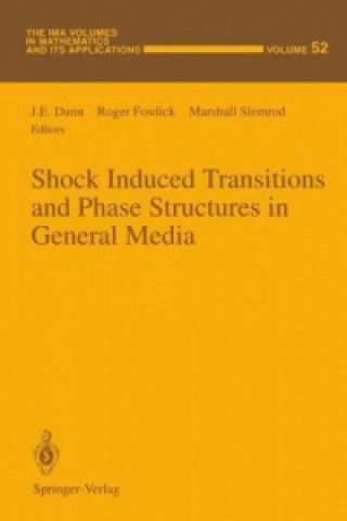 Kniha Shock Induced Transitions and Phase Structures in General Media J.E. Dunn