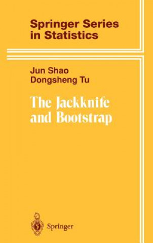 Kniha Jackknife and Bootstrap Jun Shao