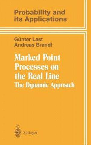 Kniha Marked Point Processes on the Real Line Andreas Brandt