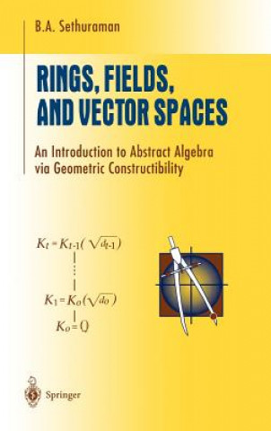 Könyv Rings, Fields, and Vector Spaces B. A. Sethuraman